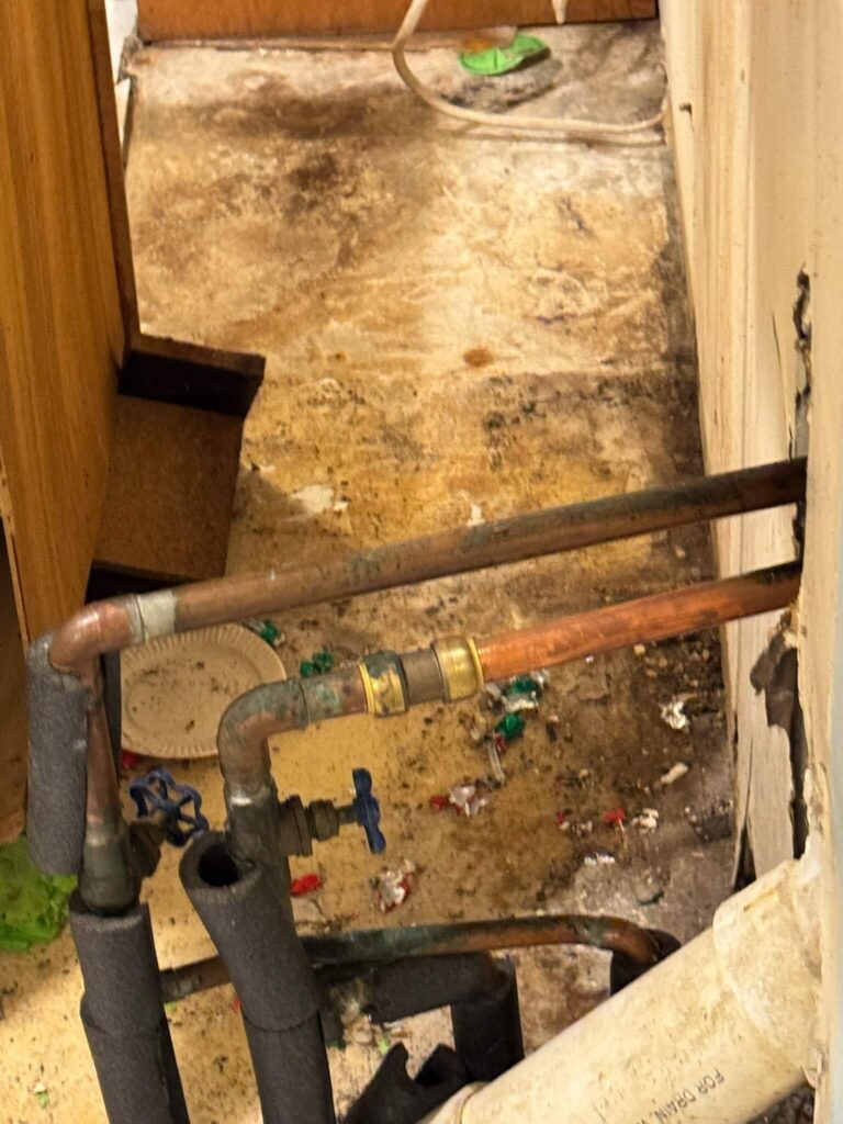 Home Mitigation for Mold in Kitchen Barnegat, NJ