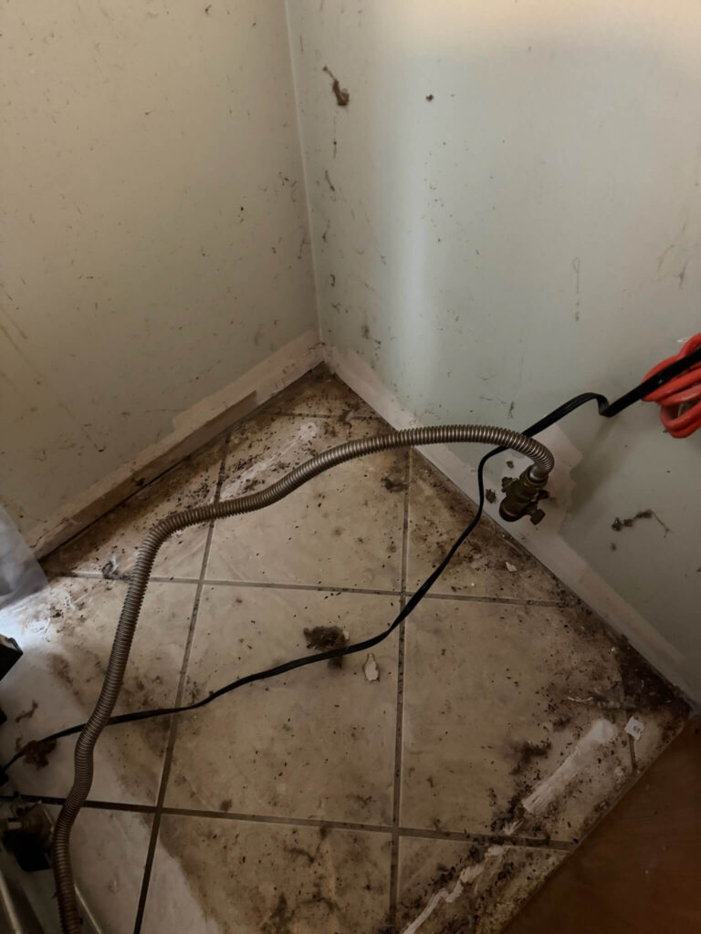 Home Mitigation for Mold Behind Appliance in Kitchen Barnegat, NJ